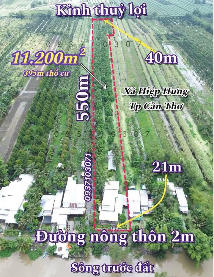 Đất vườn 11.200m² ở Vườn Xoài, Hiệp Hưng - Giá chỉ 3 tỷ!