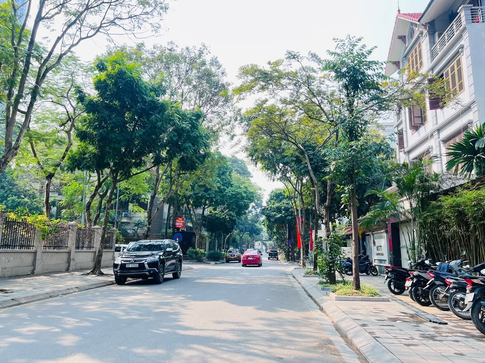 Biệt thự lô góc 165m² Khu Lão Thành Cách Mạng, Cầu Giấy - Đẳng cấp sống khác biệt!