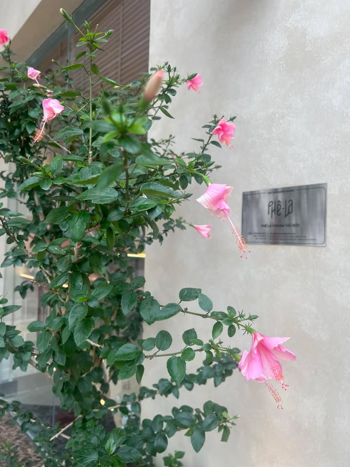 Nhà cấp 3 quận 12, phường Tân Thới Hiệp, 92m² giá 6 tỷ - Cơ hội đầu tư sinh lời!