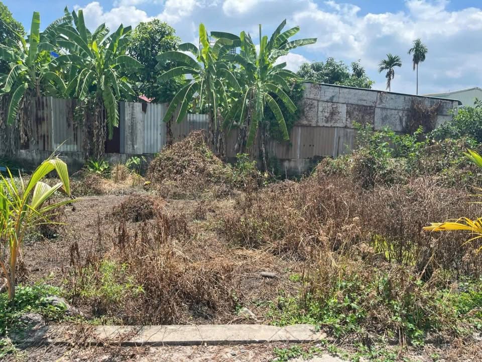 Đất nền Thạnh Lộc 41, Quận 12, 45m² giá 1 tỷ - Đầu tư sinh lời lý tưởng!