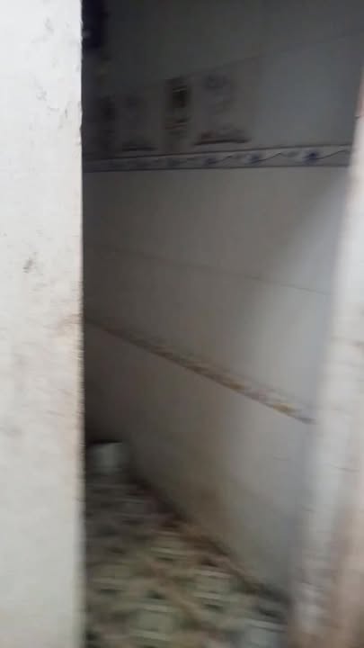 Nhà cho thuê mặt tiền đường 56B, Vụ Bản, 150m² - Phù hợp kinh doanh quán ăn