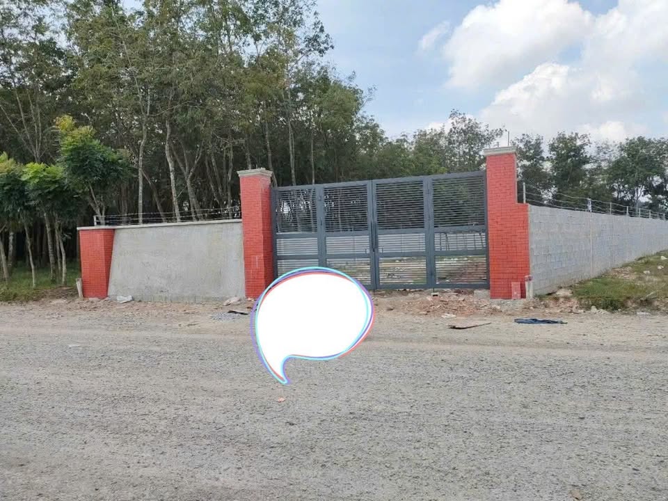 Đất nền Chánh Phú Hòa 2500m² giá thỏa thuận - Sát KCN VISIP 2!