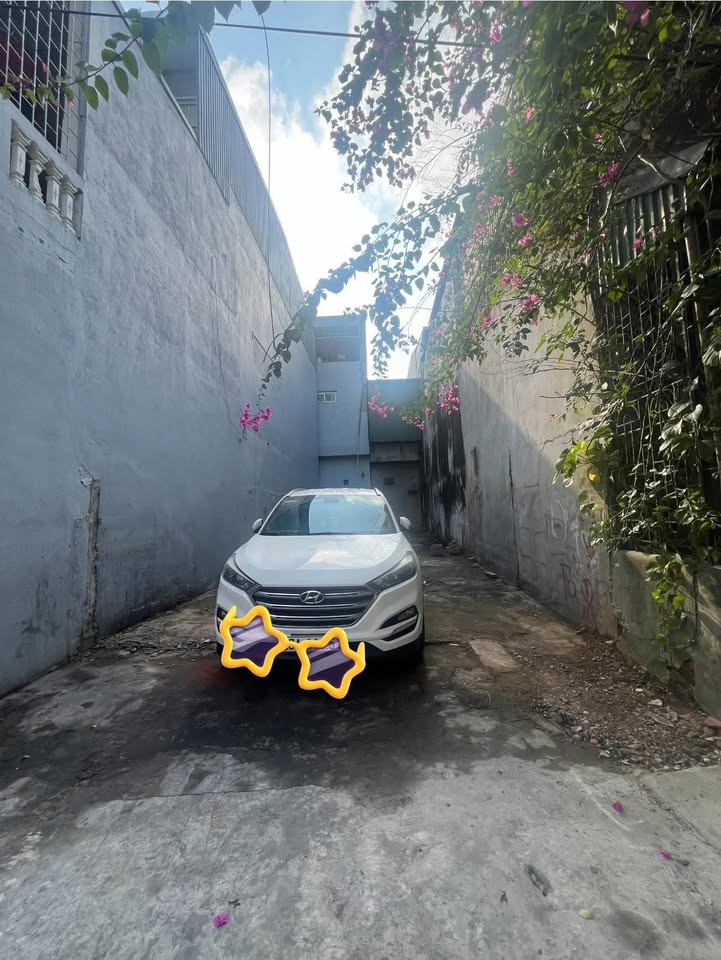 Đất nền Phường Nam Ngạn, 80m² giá 2 tỷ - Vị trí đắc địa gần trường học