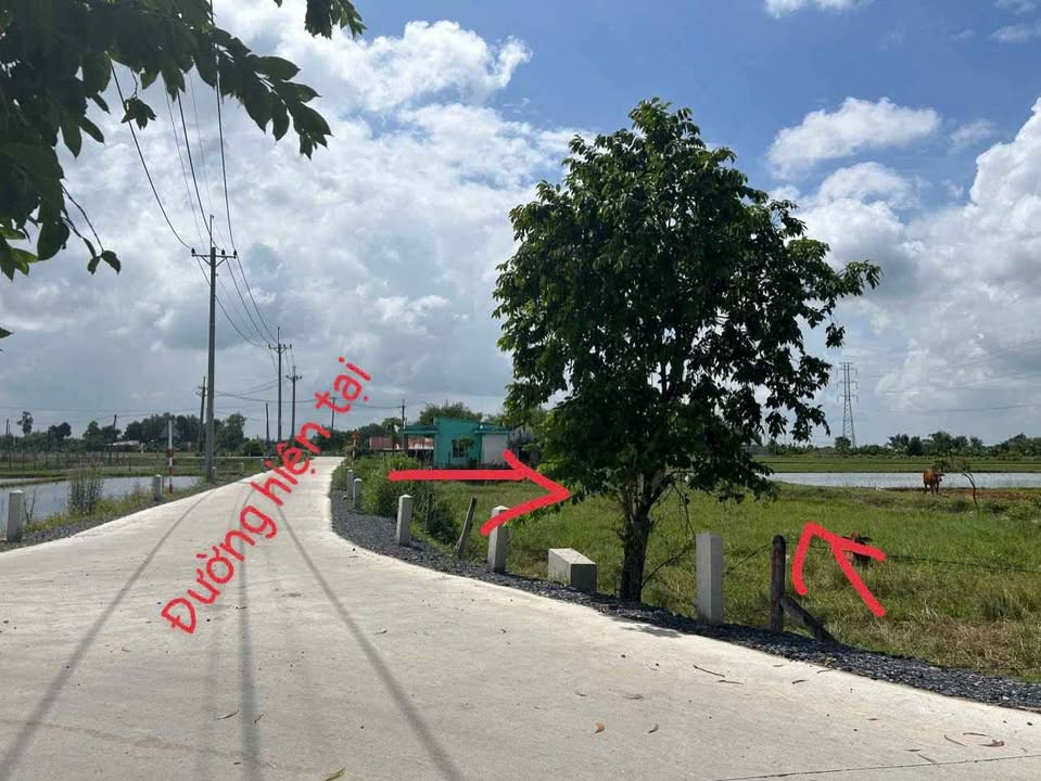 Đất vườn 2 mặt tiền đường Bê tông xã Phước Thạnh, Củ Chi, 939m² - Giá tốt, bớt lộc!