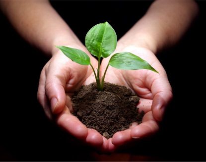 Đất rừng Huyện Sơn Tịnh 50400m² giá thỏa thuận - Đường ô tô vào tận nơi!