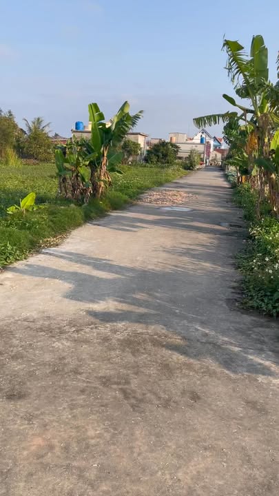 Đất nền Giao Long gần KCN VSIP 196m² giá 2 tỷ - Tiềm năng đầu tư sinh lời cao!