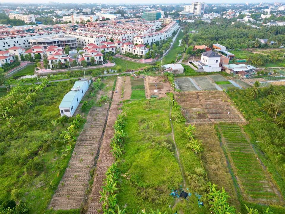Đất vườn 2778m² tại Vĩnh Long - Giá chỉ 13.885 tỷ, vị trí đẹp