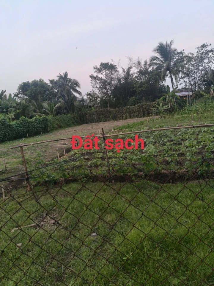 Đất nền biệt thự phường Thanh Đức, TP Vĩnh Long, 644m² - Vị trí đắc địa, xây dựng ngay!