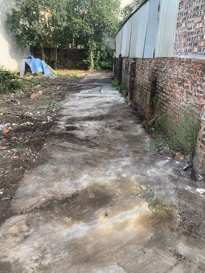 Lô đất 75m² tại Chợ Cổ Miếu, Phật Tích chỉ 1 tỷ - Cơ hội đầu tư hiếm có!