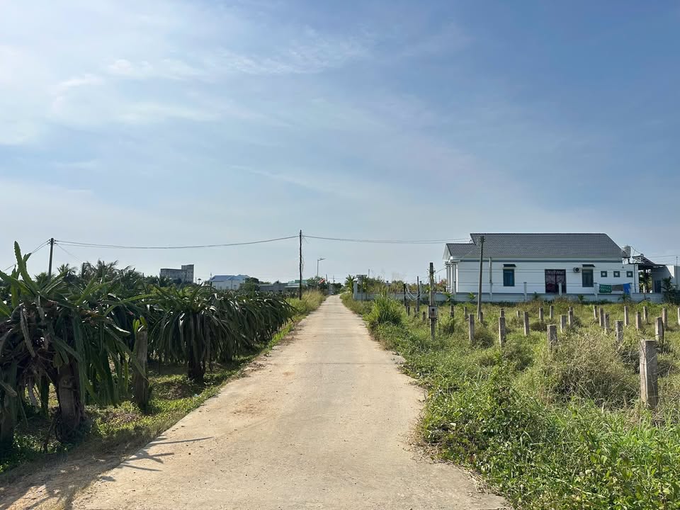 Đất thổ cư mặt tiền bê tông tại Thôn Đại Thiện 1, 1102m² giá 1 tỷ - Đầu tư sinh lời ngay!