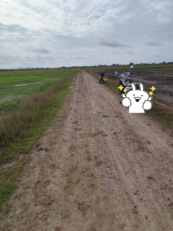 Đất nền 3000m² tại xã Phước Ninh, huyện Dương Minh Châu - Giá chỉ 800 triệu, ô tô tới đất!