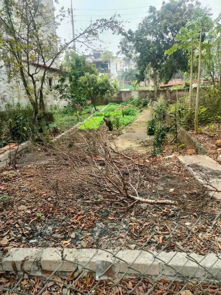 Đất thổ cư 117.2m² tại Sơn Tây, giá 3 tỷ - Đối diện trường học Tùng Thiện!