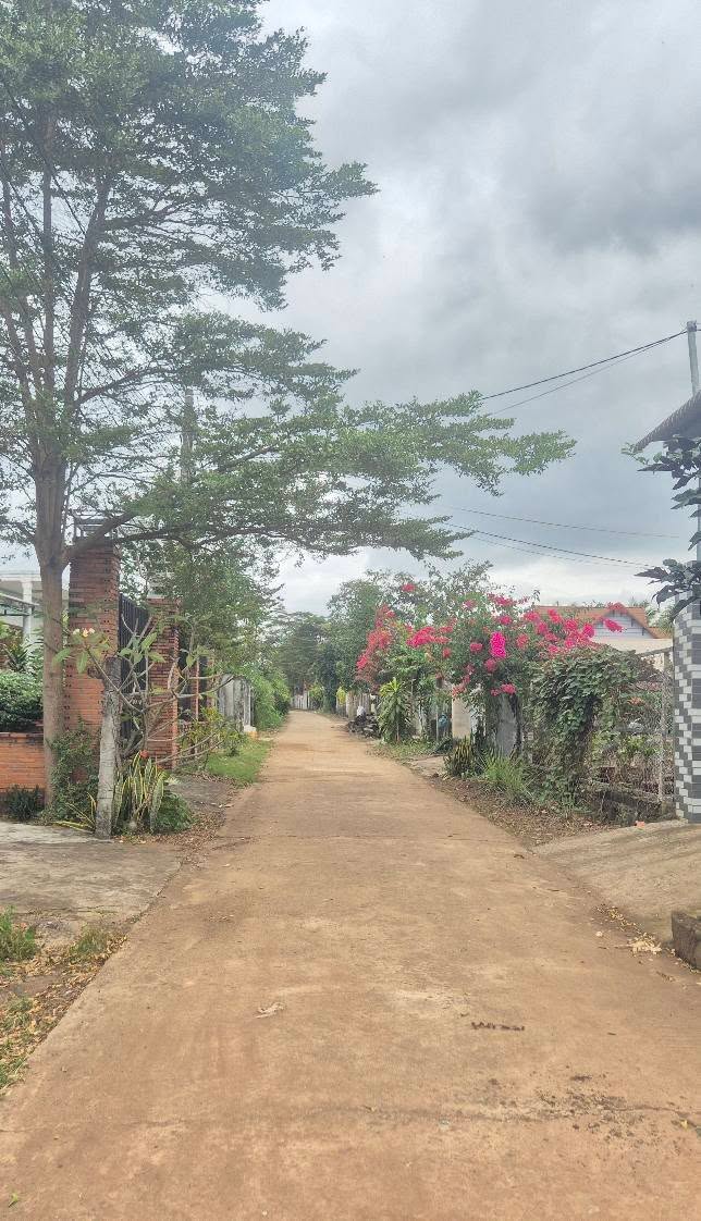 Đất thổ cư Hòa Phú - Buôn Ma Thuột 390m² giá 1.05 tỷ - Đầu tư sinh lời ổn định!