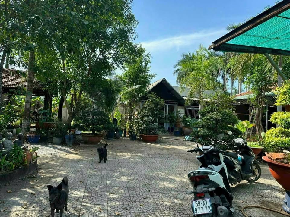 Nhà gần cầu Nam Lý, Đường Đỗ Xuân Hợp, 34m² giá 820 triệu - Pháp lý rõ ràng!