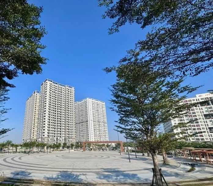 Căn hộ FPT Plaza 2 Đà Nẵng 56m² giá 2.9 tỷ - Full nội thất đẹp!