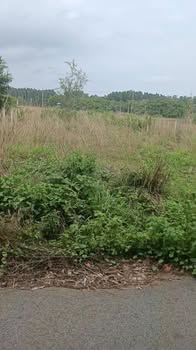 Đất thổ cư tại Thị trấn Phước Bửu, 500m² giá 2.3 tỷ - Cơ hội đầu tư hấp dẫn!