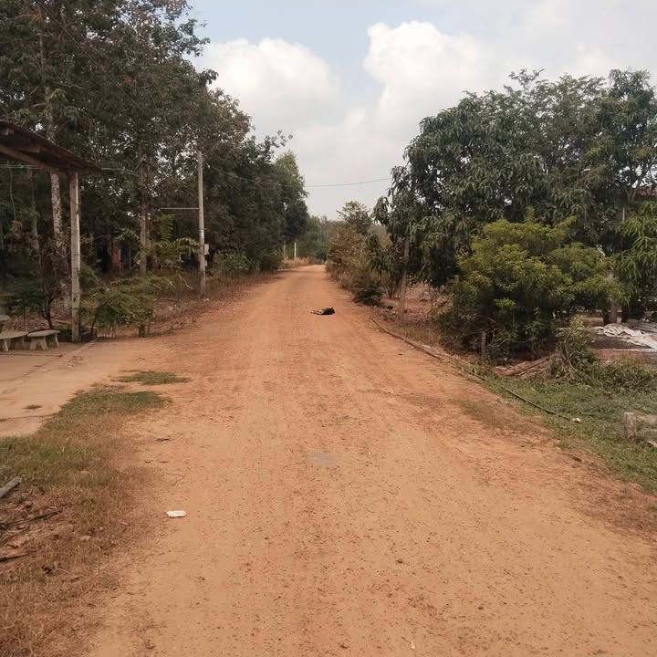 Đất thổ cư 225m² tại Xã Mỏ Công, Tân Biên giá chỉ 180 triệu - Cơ hội đầu tư lý tưởng!