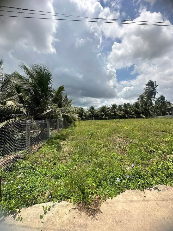 Đất xây nhà vườn nghỉ dưỡng tại Mỹ Phong, Đồng Tháp - 140m² chỉ 790 triệu!