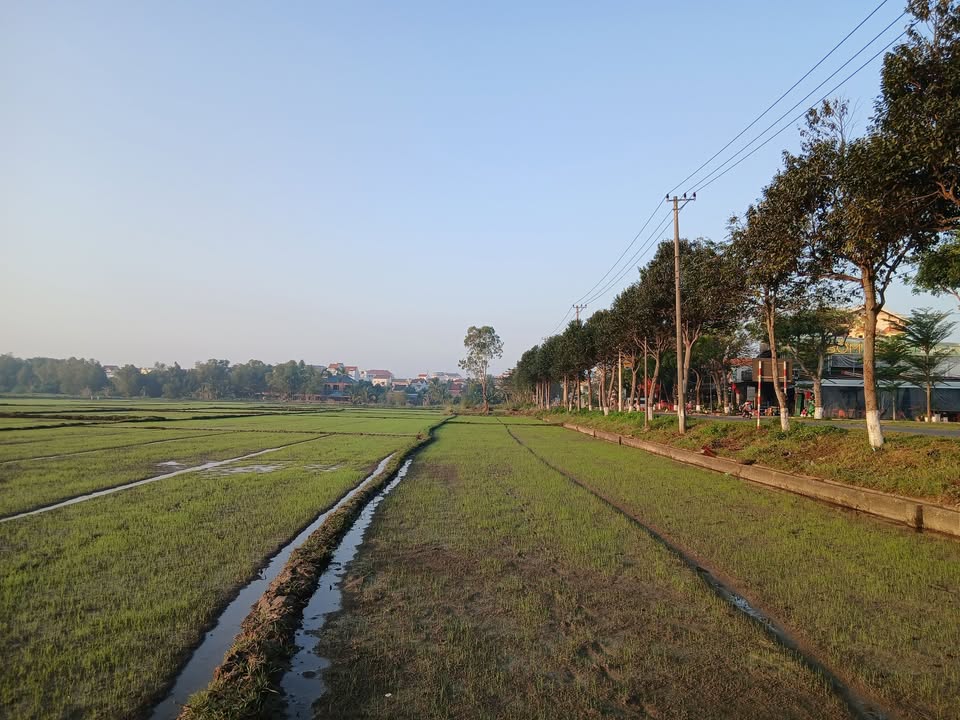 Đất nền liền kề đường Xô Viết Nghệ Tĩnh, Hội An 121m² - Cơ hội đầu tư tuyệt vời!