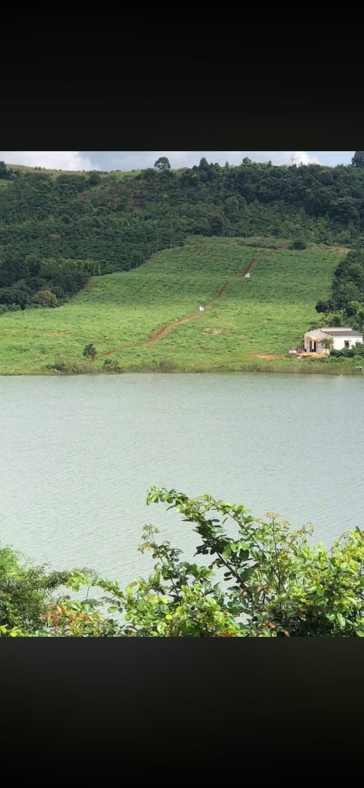 Đất nền 10,800m² tại Đắk R'Tíh, Tuy Đức giá 3.8 tỷ - Khu vực yên tĩnh!