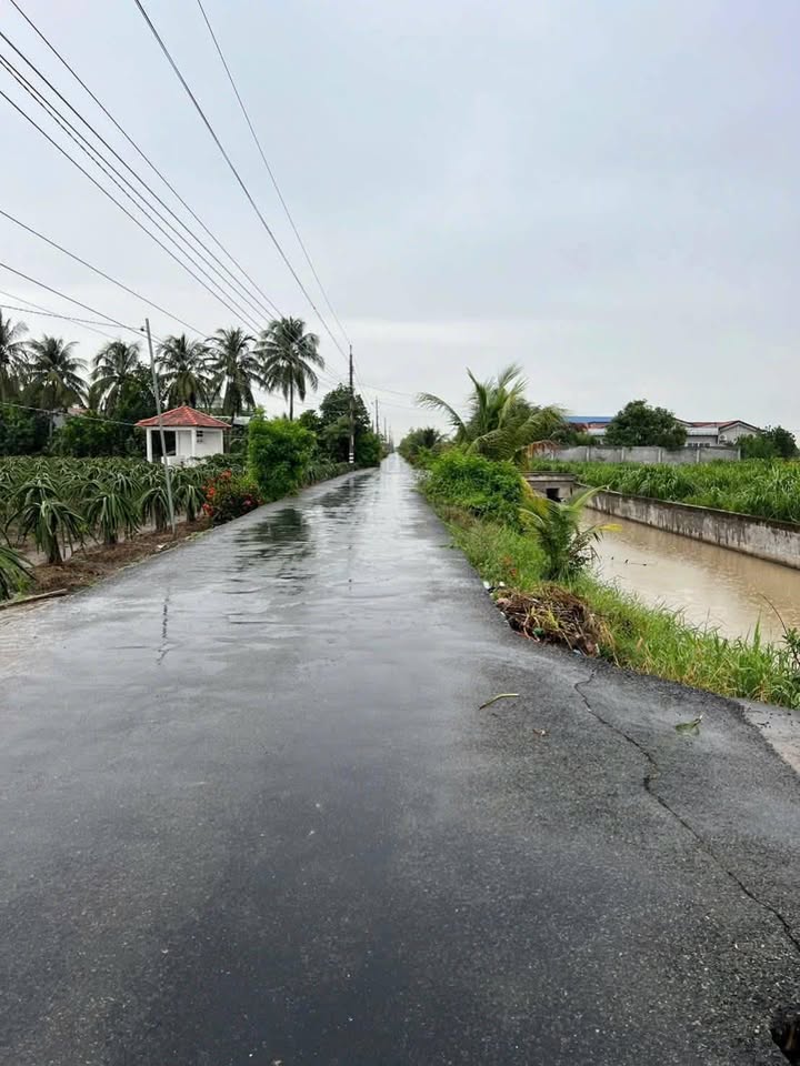 Đất Ruộng & Thổ Cư Xã An Lục Long, 5600m² giá 4 tỷ - Sổ hồng chính chủ!