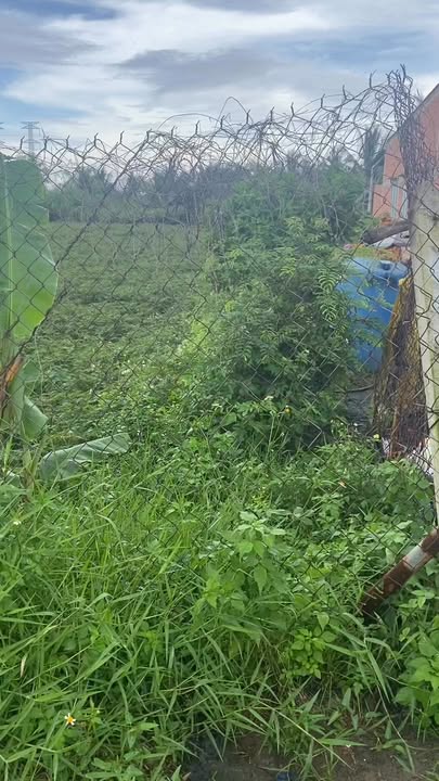 Đất nền mặt tiền đường nhựa Đức Hòa Thượng 747m² - Sổ hồng chính chủ giá tốt!