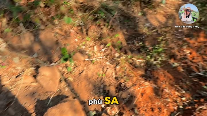 Đất Farm 5 Sào View Sông Tại Mang Yang, Gia Lai Chỉ 400 Triệu - Cơ Hội Vàng Đầu Tư!