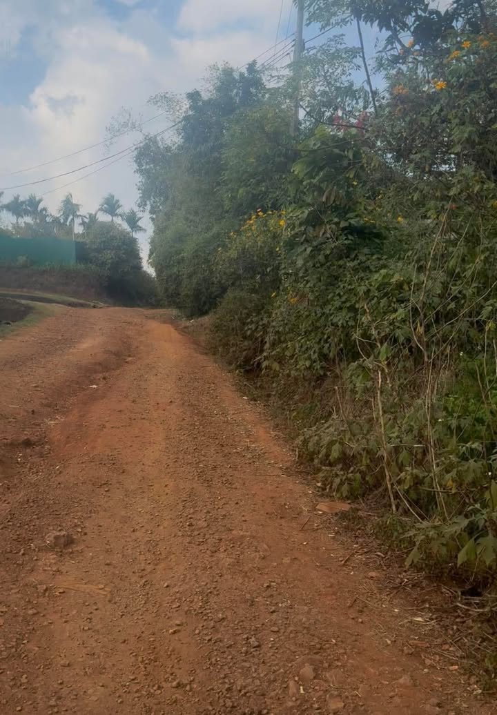 Bán gấp FrontHouse mặt tiền Mai Hắc Đế, 250m², giá 1.05 tỷ - Cơ hội đầu tư hấp dẫn!