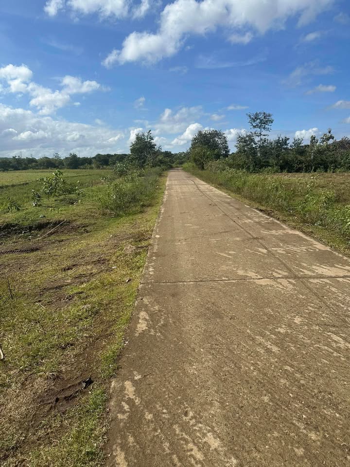 Đất nông nghiệp 9 sào mặt tiền đường bê tông xã Ea M'droh, giá 890 triệu - Cơ hội đầu tư hấp dẫn!