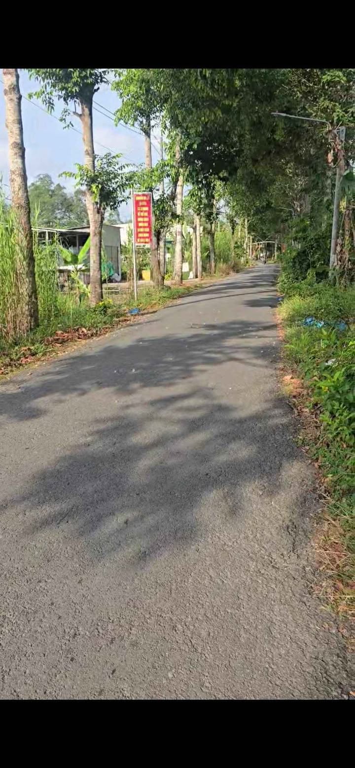 Đất nền mặt tiền Tỉnh lộ 925 Cái Chanh 125m² giá 1.35 tỷ - Sổ hồng riêng chính chủ!