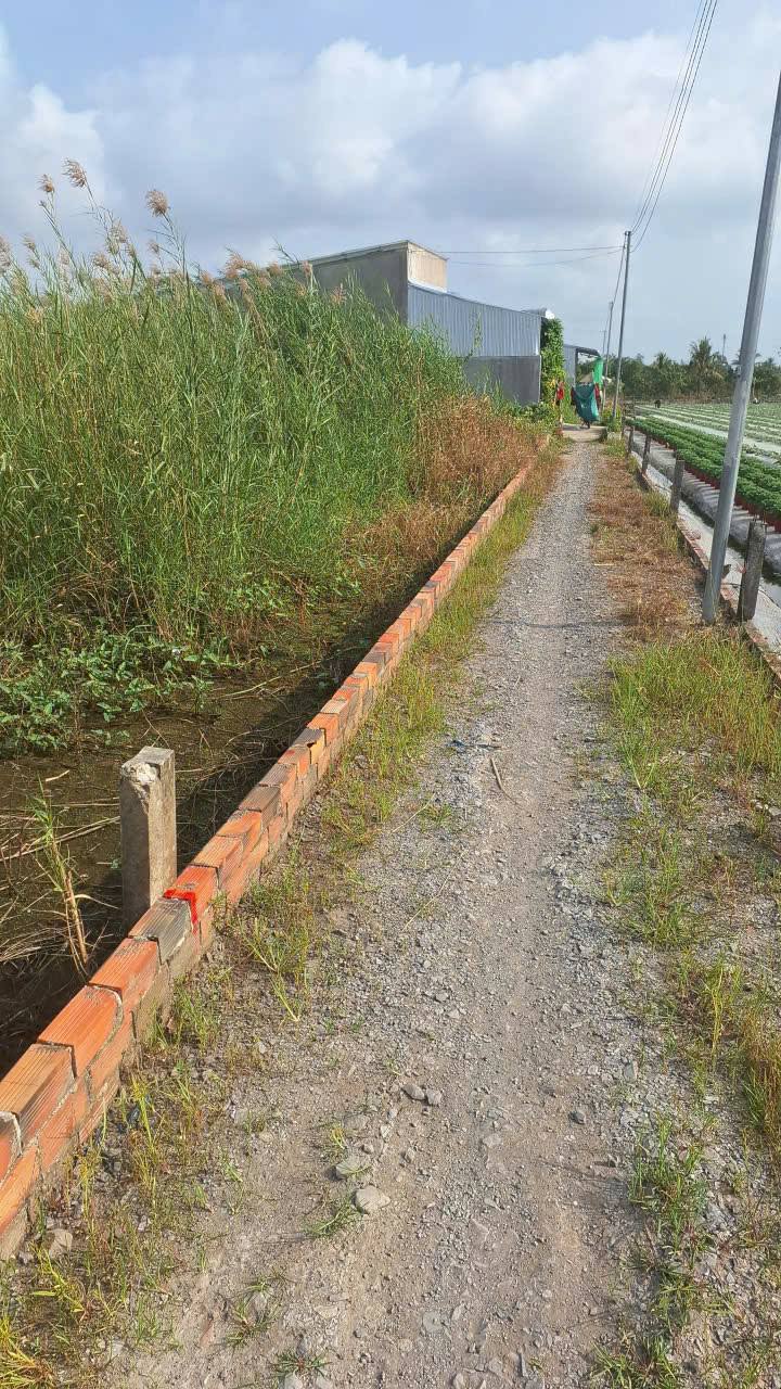 Đất nền Rạch Ông Dựa, Long Tuyền, 150m² giá 420 triệu - Cơ hội vàng cho nhà đầu tư!