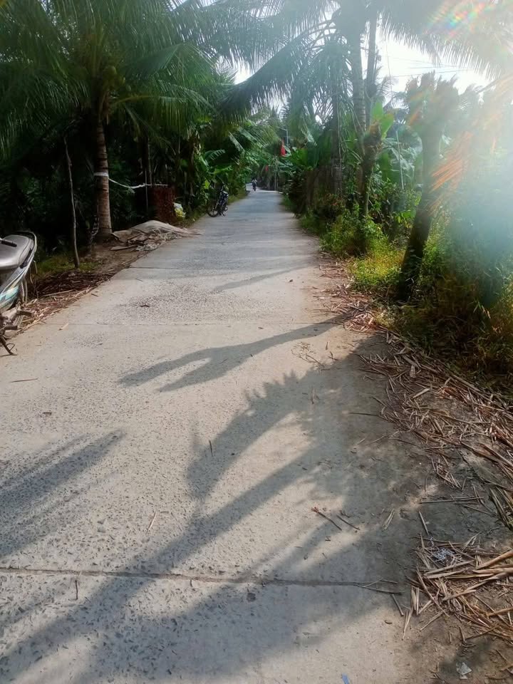 Đất nông nghiệp Ngãi Tứ, Vĩnh Long 6.4 công chỉ 992 triệu - Chính chủ bán gấp!