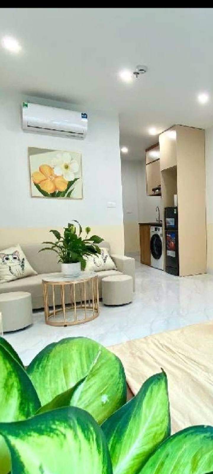Căn hộ chung cư Thịnh Quang, Đống Đa 45m² giá 3 tỷ - Sẵn sàng vào ở ngay!