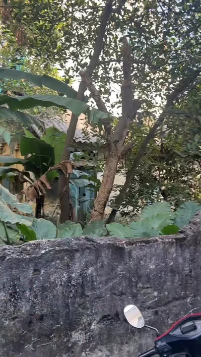 Đất thổ cư 178m² tại Thọ Am, Thanh Trì - Giá thỏa thuận hấp dẫn!