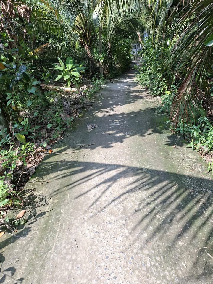 Đất nền 120m² xã Tân Thạch, Châu Thành, Bến Tre giá 420 triệu - Cơ hội đầu tư hấp dẫn!