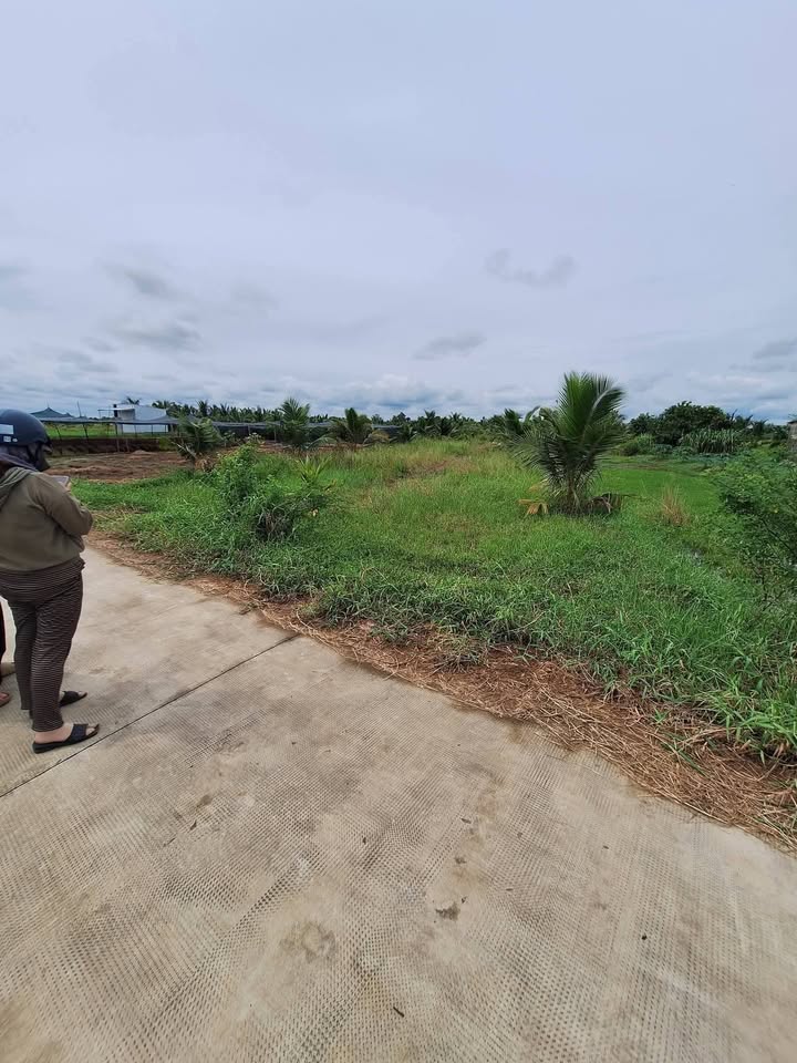 Đất mặt tiền QL57C Xã An Bình Tây 14,000m² giá chỉ 448 triệu - Cơ hội đầu tư tuyệt vời!