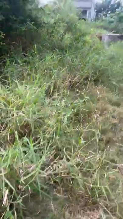 Đất nền mặt tiền đường nhựa HL02, xã Gia Thuận, 174m² giá 1.3 tỷ - Sổ đỏ chính chủ!