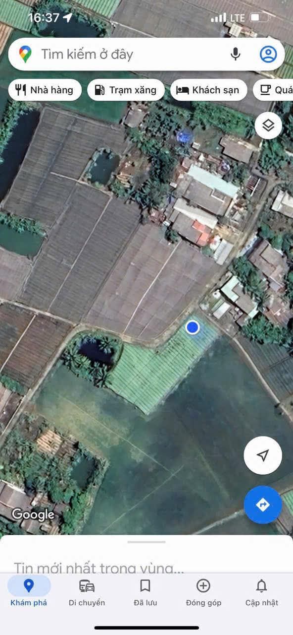 Đất phân lô Tân Đông Gò Công Đông 1800m² giá 1 tỷ - Nền cao ráo, ô tô vào tận nơi!