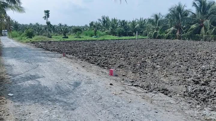 Đất nền Ấp Bình Trung, Gò Công Tây 165m² giá 330 triệu - Đầu tư sinh lời ngay!