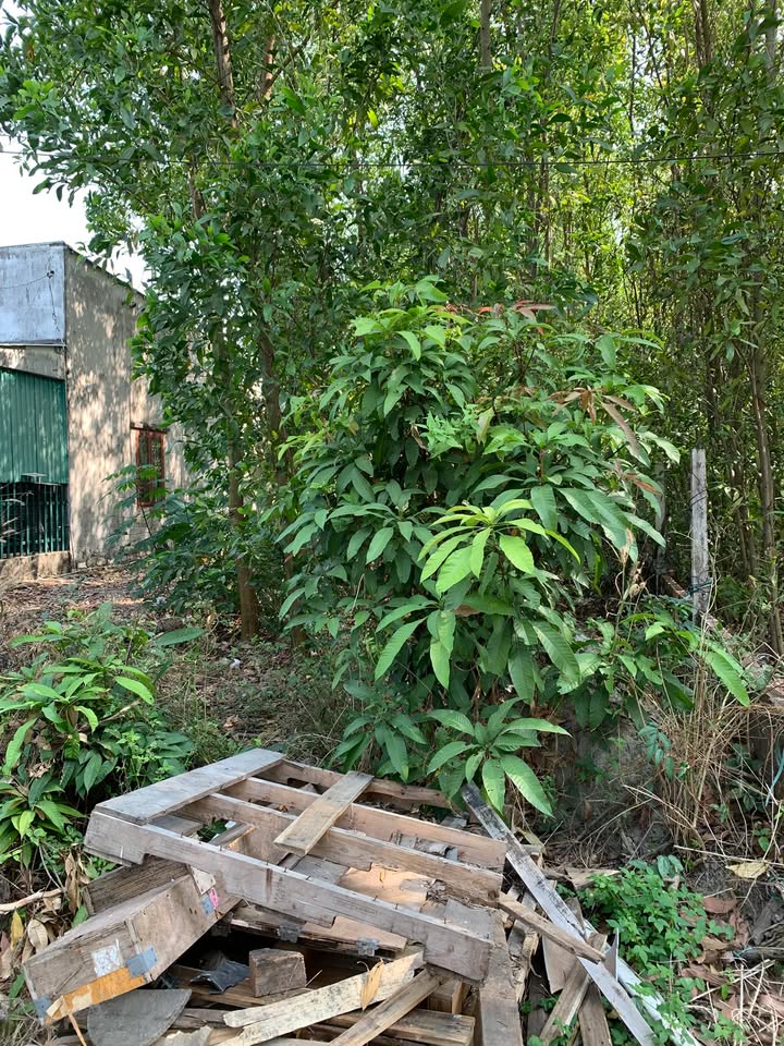 Lô đất phường Phú Mỹ 200m² giá 1 tỷ - Đầu tư sinh lời ngay!