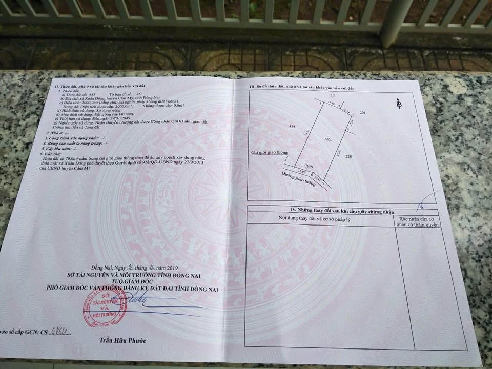 Đất thổ cư 100m² tại Xuân Đông, 2000m² - Vị trí đắc địa gần chợ