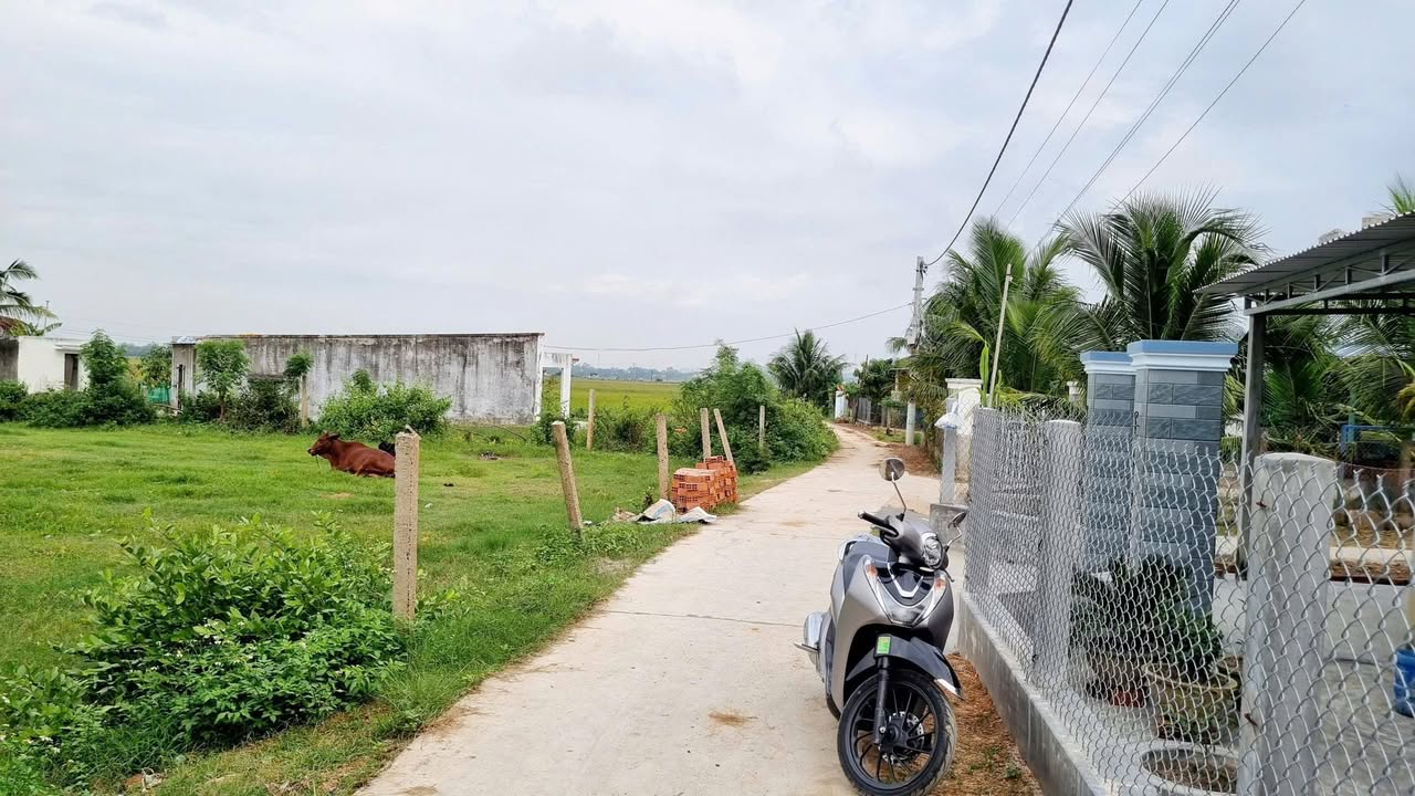 Đất nền bán tại Xã Hòa Trí, Ninh Hòa - Giá chỉ 280 triệu, cơ hội đầu tư tuyệt vời!