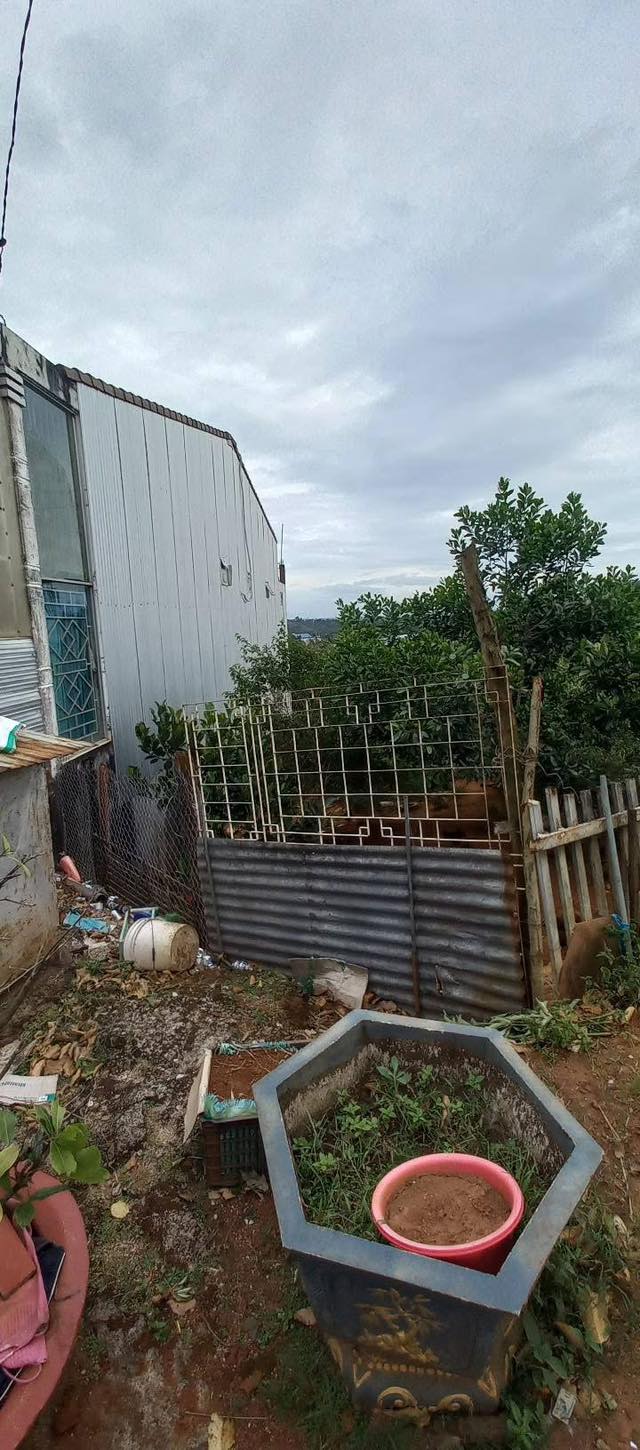 Đất nền 288m² tại Tôn Thất Thuyết, Nghĩa Tân, giá 1.5 tỷ - Sổ hồng chính chủ!