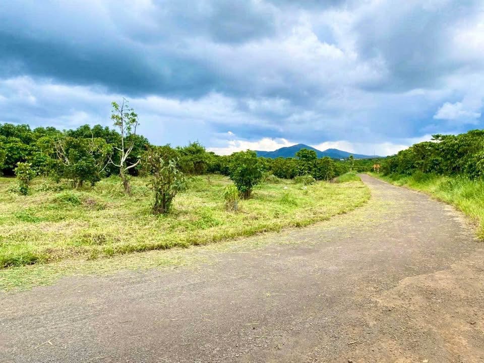 Đất nền 100m² tại Lộc An, Bảo Lâm chỉ 395 triệu - Sổ hồng chính chủ