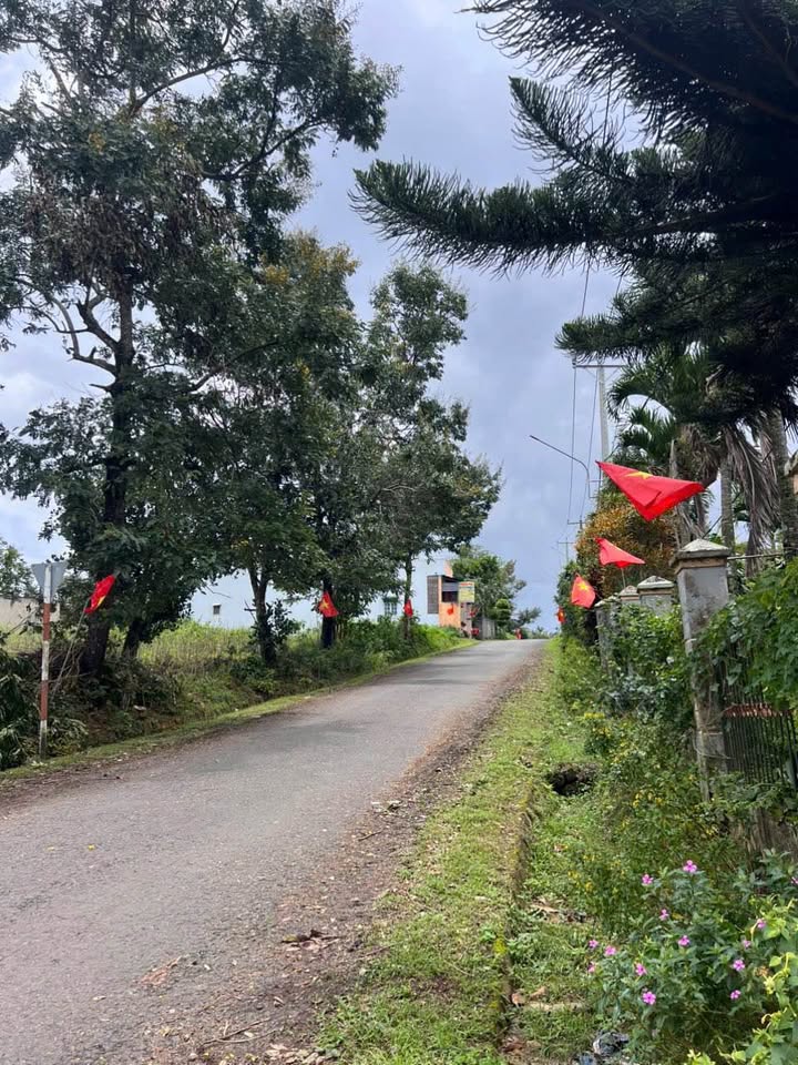 Đất nền mặt tiền đường Nguyễn Chí Thanh, Bảo Lâm 210m² giá 2.2 tỷ - Đầu tư sinh lời ngay!