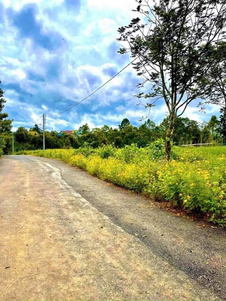 Đất nền 550m² Xã Lộc Nga giá chỉ 3.5 tỷ - Sổ hồng chính chủ