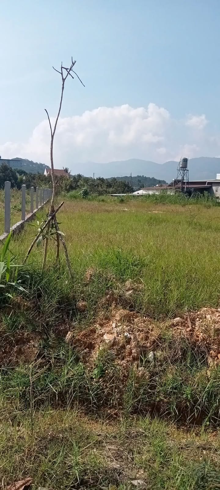 FrontHouse thôn 10, xã Đại Lào, 540m² giá 1.4 tỷ - Đường nhựa lớn, ô tô tận nơi!