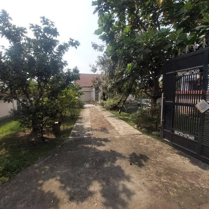 Biệt thự vườn Mặt Tiền Đường Nguyễn Chí Thanh, Bình Nhâm 2616m² giá 55 tỷ - Cơ hội đầu tư tuyệt vời!