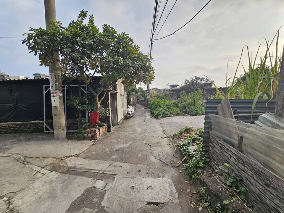 Đất Cẩm Sơn 260m² giá 700 triệu - Sổ hồng chính chủ!