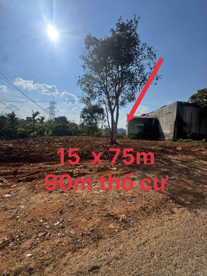 Đất mặt tiền đường nhựa Gia Nghĩa 1125m² giá 1.6 tỷ - Tiềm năng đầu tư lớn!